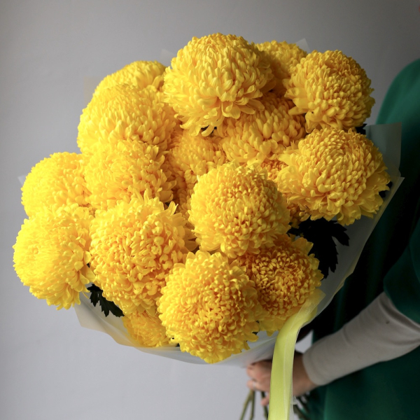 Букет из крупных желтых хризантем - 19 хризантем
