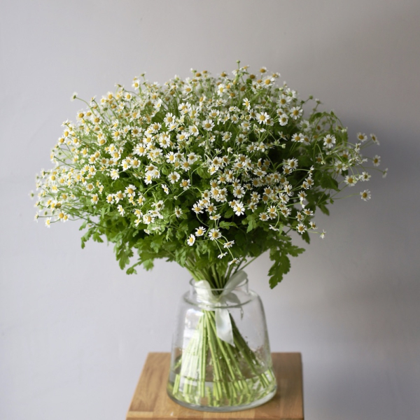 Подписка на цветы "Моно в вазе" (4 доставки) - Размер L