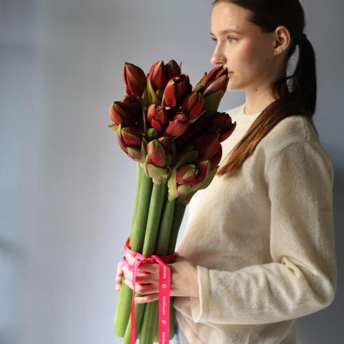 Букет из красных амариллисов -  15 амариллисов 