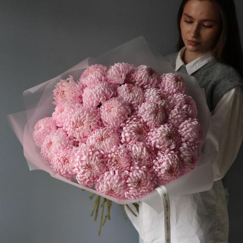 Букет из крупных розовых хризантем -  29 хризантем 