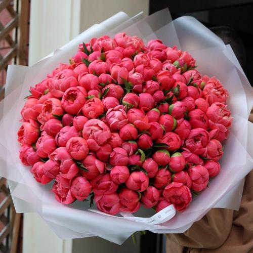 Букет из коралловых пионов -  101 пионов