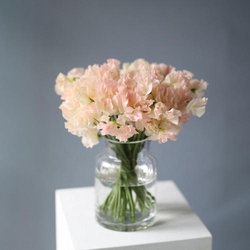 Букет из душистого горошка в вазе - 49 горошков (ваза может отличаться)