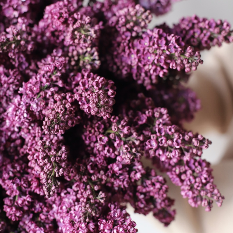 8 Марта: история и традиции Международного женского дня