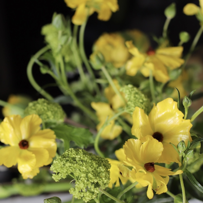 Необычные цветы для особых случаев: что подарить тому, у кого всё есть