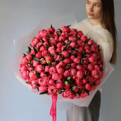 Букет из коралловых пионов -  101 пионов