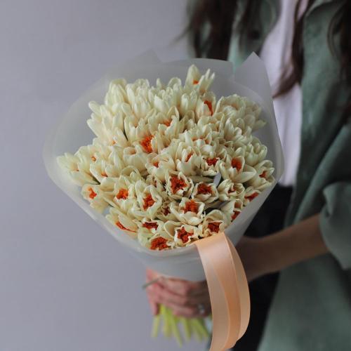 Букет из кремовых нарциссов Штраус -  49 нарциссов 