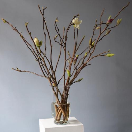 Букет из магнолии -  Размер S в вазе 