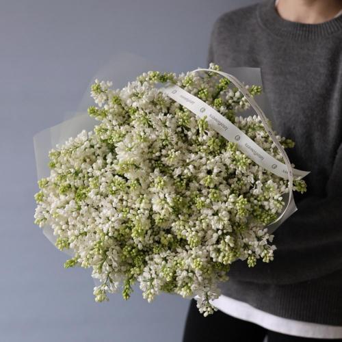 Букет из белой сирени -  29 веток сирени 