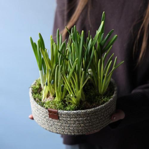 Весенние цветы в корзинке -  Размер L