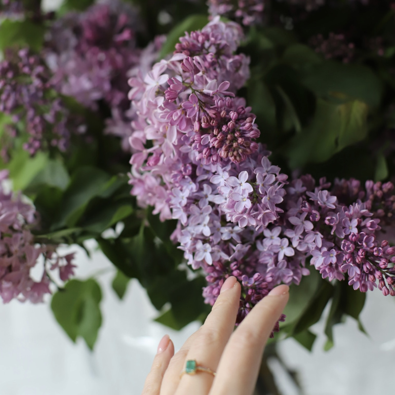 Весеннее настроение в цветах