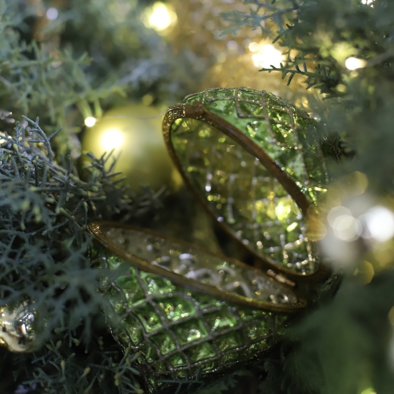 2025: год зеленой деревянной змеи