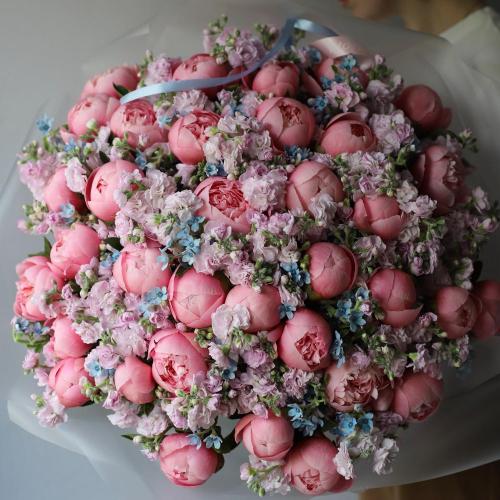 Букет из пионов, оксипеталума и маттиолы - Размер XL 