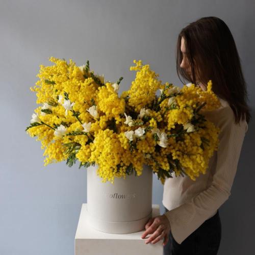 Букет из мимозы и фрезии в шляпной коробке - Размер L 