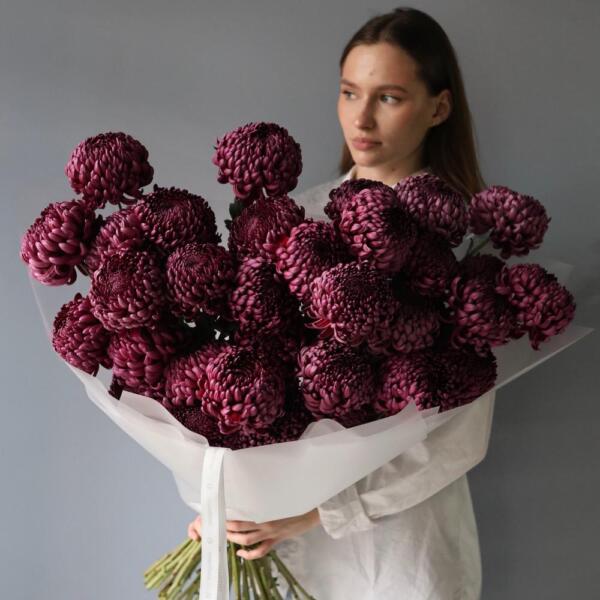 Букет из фиолетовых хризантем Бигуди - 29 хризантем