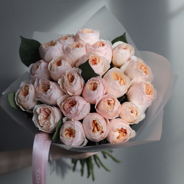Букет из пионовидных роз Дэвида Остина Джульета - 23 розы