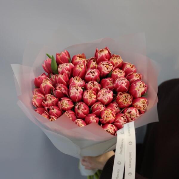 Букет из ярко-розовых тюльпанов - 49 тюльпанов