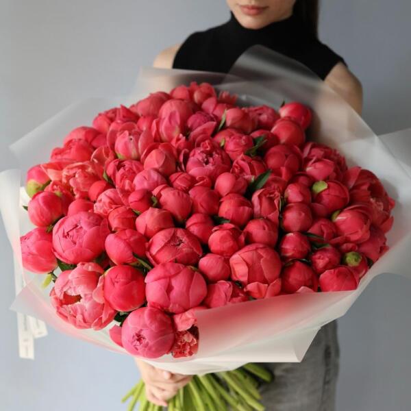 Букет из коралловых пионов - 75 пионов