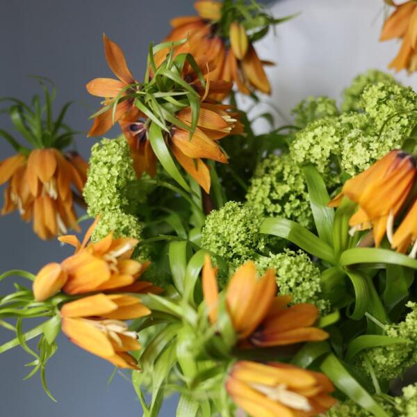 Букет из вибурнума и фрителярий - Размер M