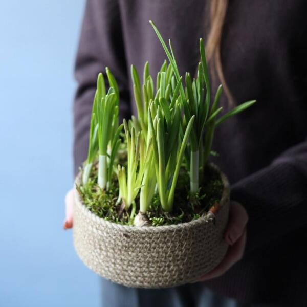 Весенние цветы в корзинке - Размер M