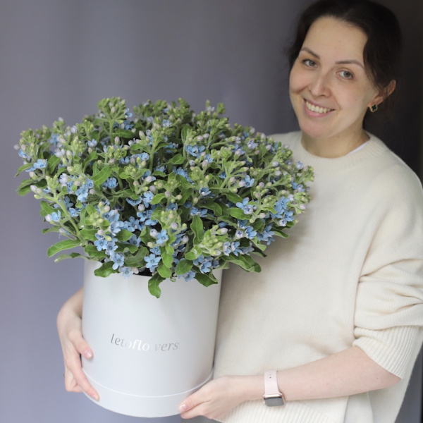 «Букет из оксипеталума в шляпной коробке»