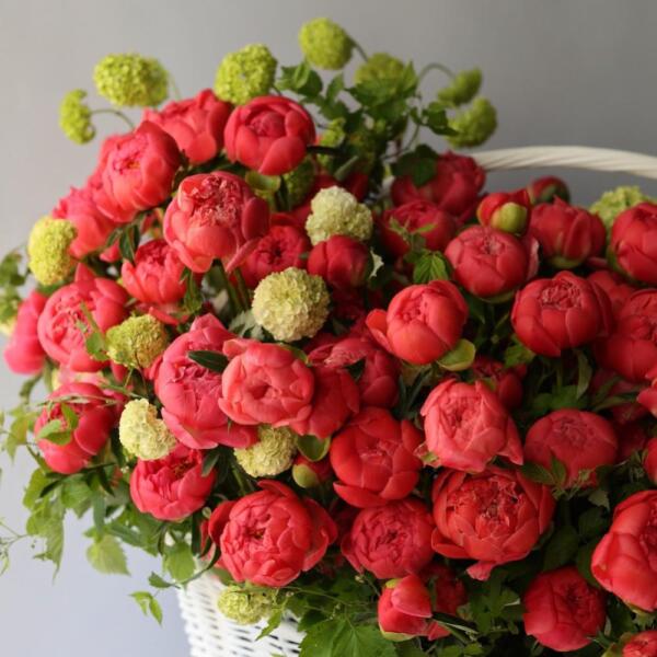 Корзина с пионами и вибурнумом