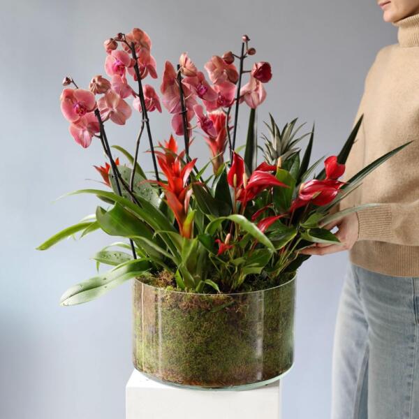 Композиция "Тропический микс" в вазе