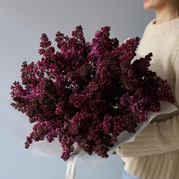 Букет из российской сирени - Размер L