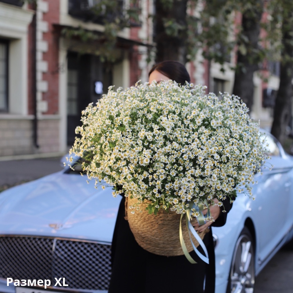 Корзина с кустовыми ромашками Корзина с кустовыми ромашками -  Размер ХL