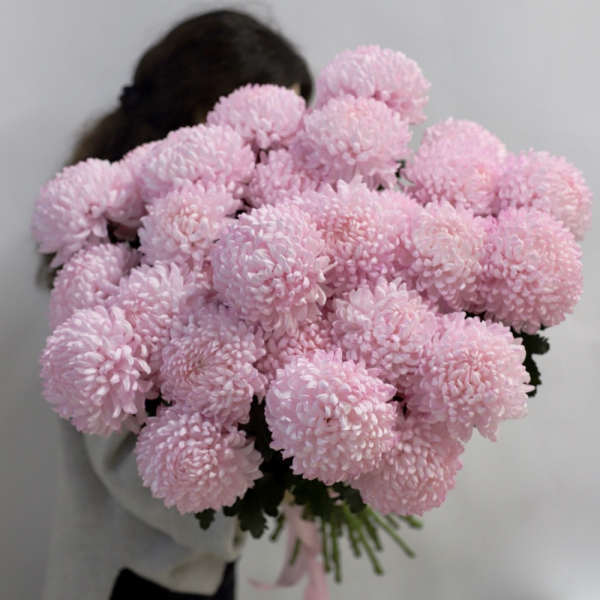 Букет из крупных розовых хризантем -  25 хризантем 