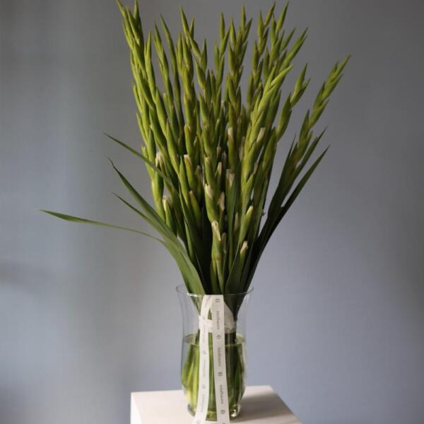 Букет из гладиолусов в вазе - 19 гладиолусов