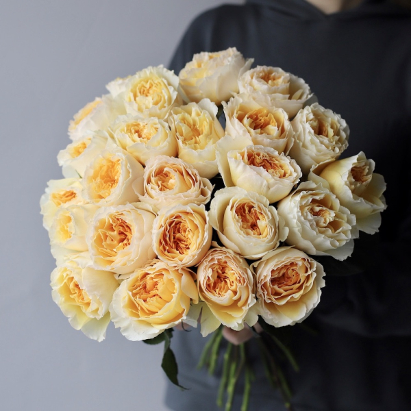 Букет из пионовидных роз Дэвида Остина Беатрис -  23 розы 