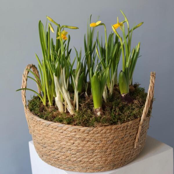 Весенние цветы в корзинке -  Размер L