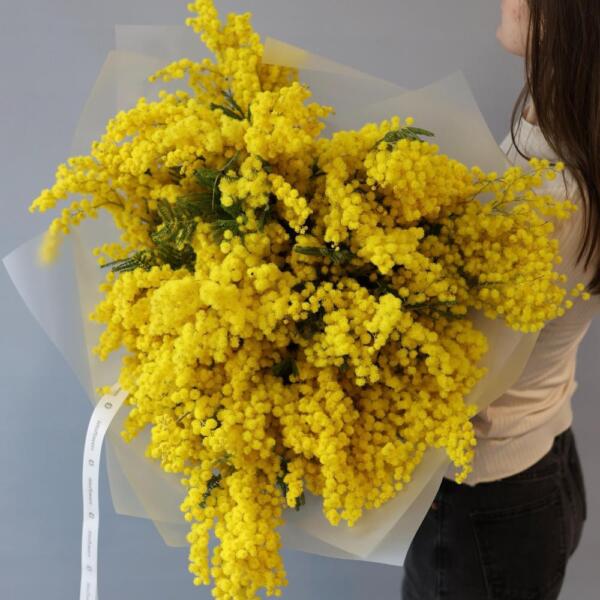 Букет из мимозы - Размер XL