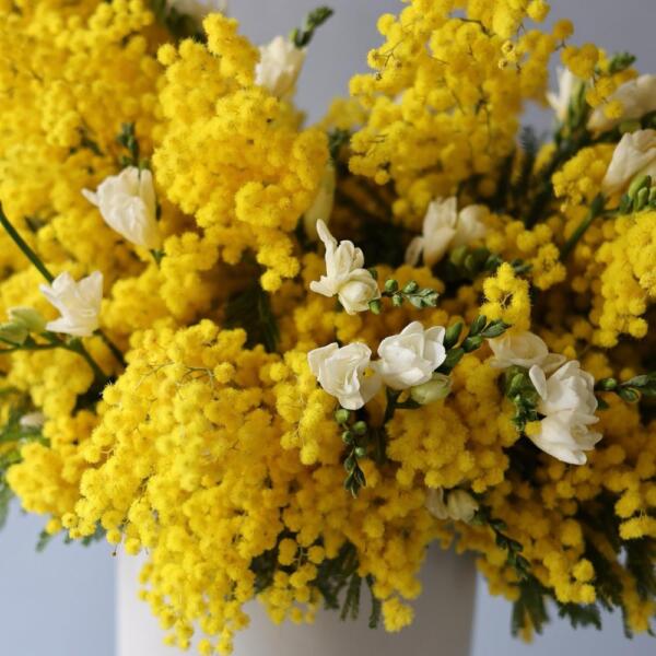 Букет из мимозы и фрезии в шляпной коробке - Размер L