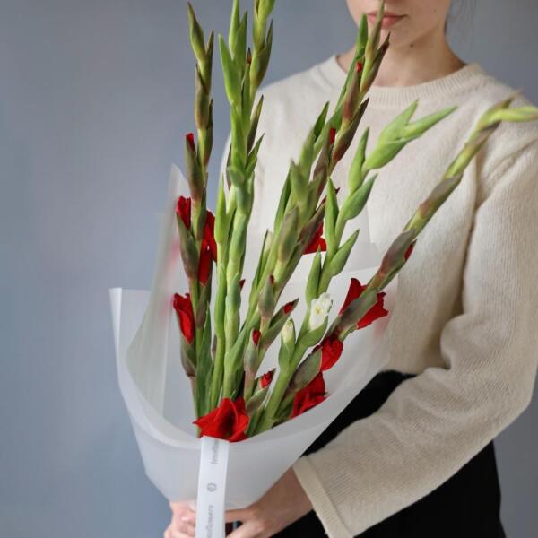 Букет из гладиолусов двух цветов - 9 гладиолусов