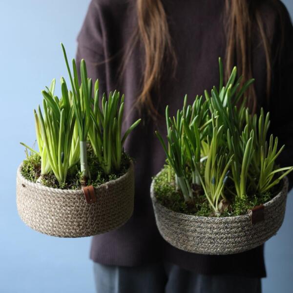 Весенние цветы в корзинке