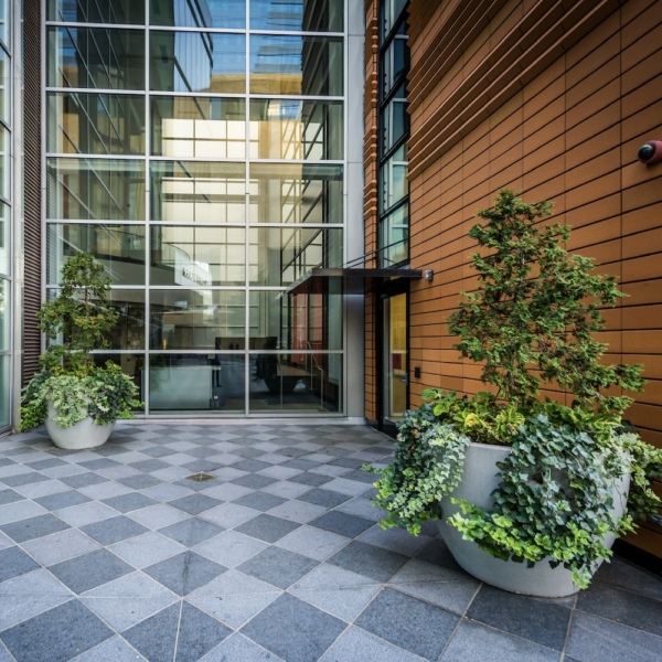 Корпоративное озеленение