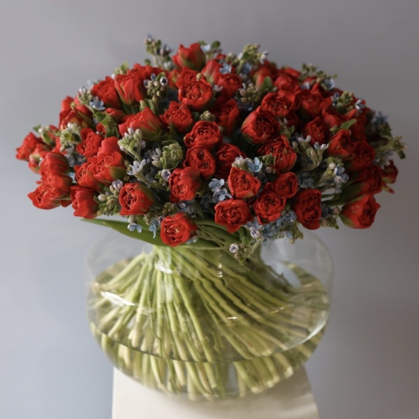 Букет из тюльпанов и оксипеталума в вазе - Размер L