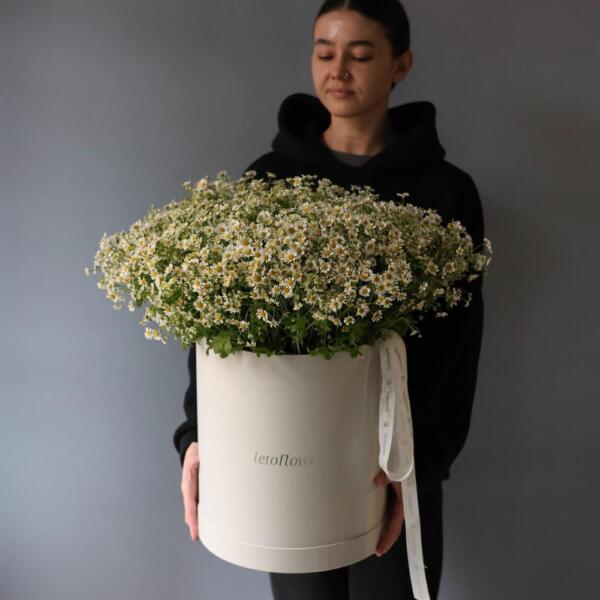Букет из ромашек в шляпной коробке - Размер 2XL
