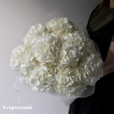 Букеты из гортензий – заказать букет из свежих цветов с доставкой в ...