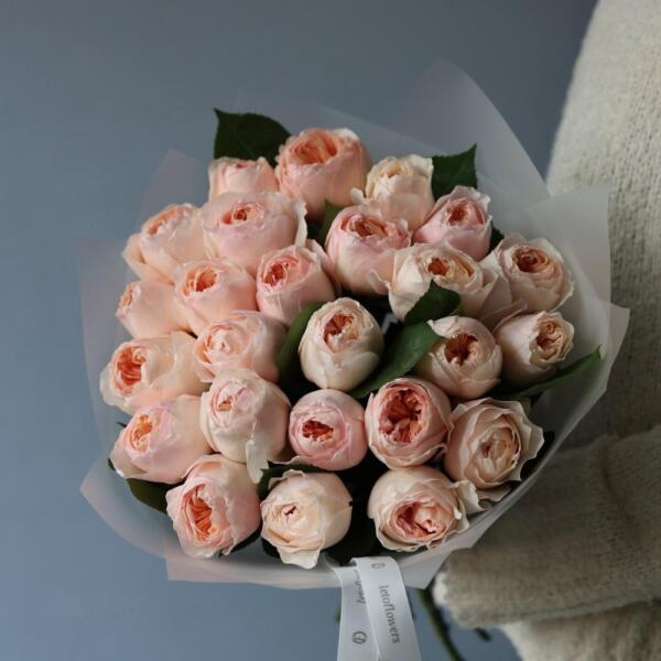 Букет из пионовидных роз Дэвида Остина Джульета - 23 роз