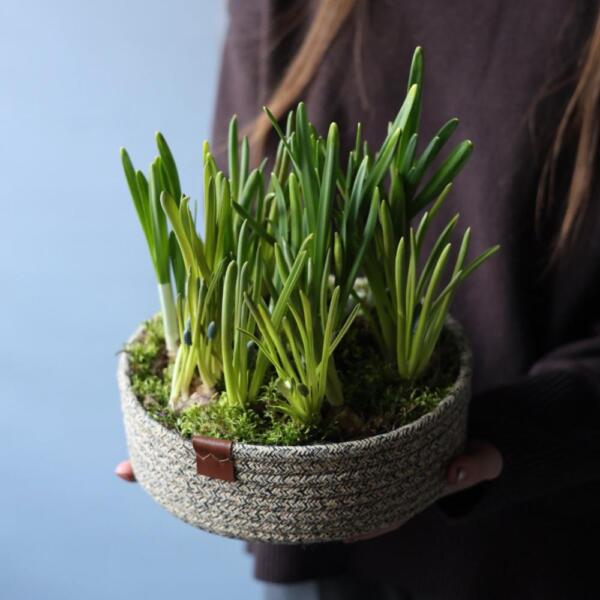 Весенние цветы в корзинке - Размер L