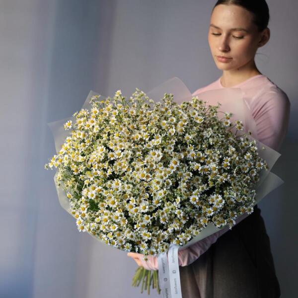 Букет из ромашек - 75 ромашек