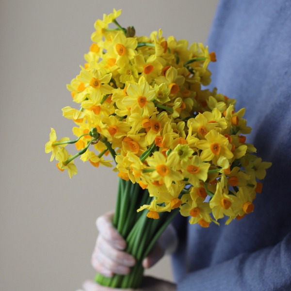 Букет из кустовых нарциссов желтых - 49 нарциссов