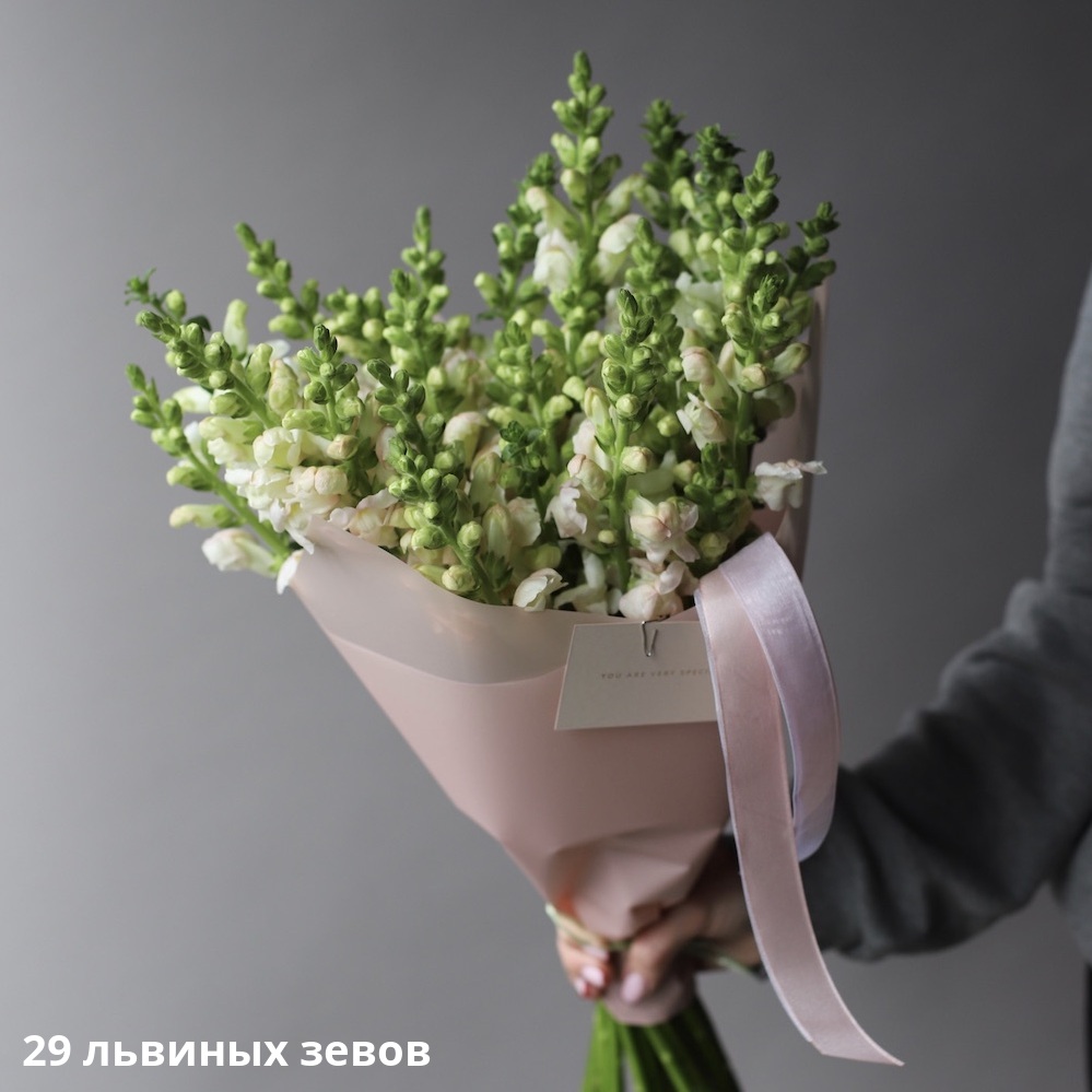 Букет из белого львиного зева - заказать доставку цветов в Москве от Leto  Flowers