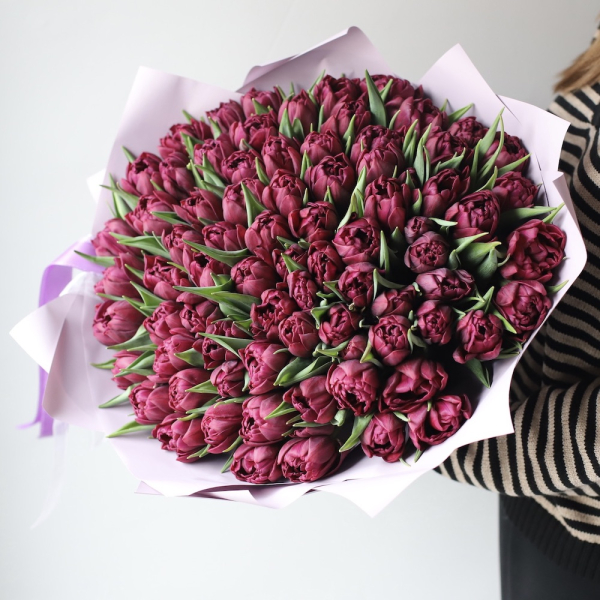 Букет из фиолетовых тюльпанов - 75 тюльпанов