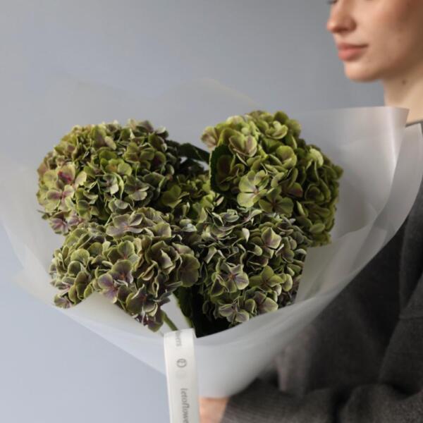 Букет из зеленых гортензий - 5 гортензий