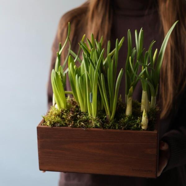 Весенние цветы в ящике - Размер M