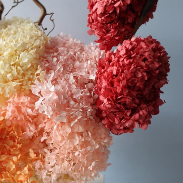 Композиция из стабилизированных гортензий в кашпо