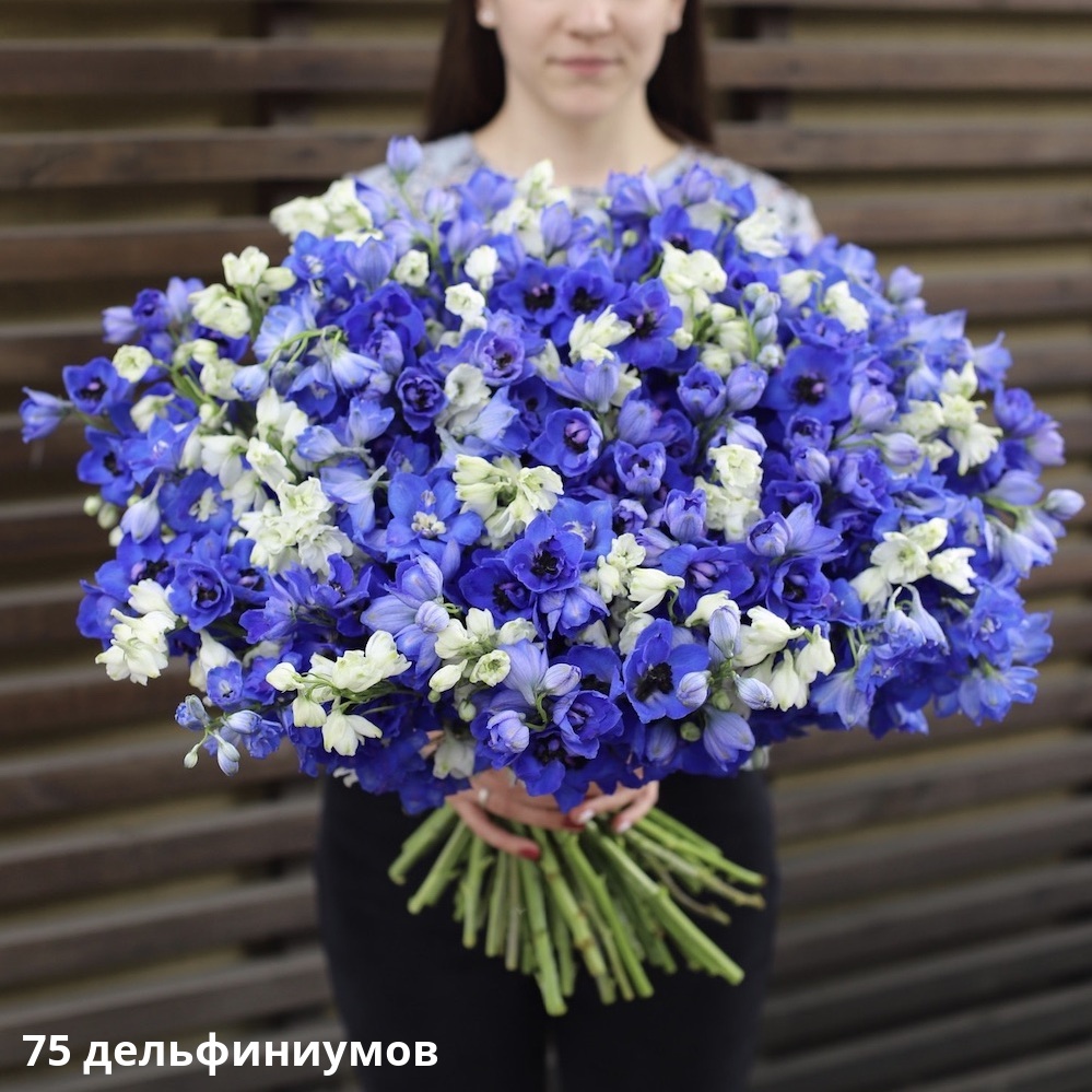 80 самых красивых цветов в мире с фото, названиями и описанием